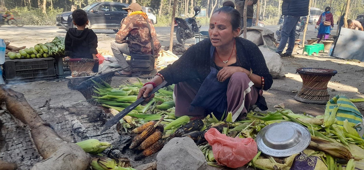 राजमार्ग छेउमा मकै पोलेरै जिविका